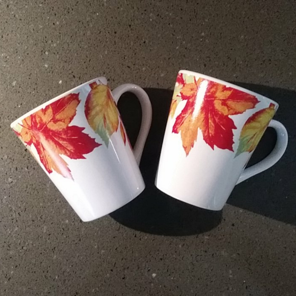 🛍  🆕️ 3/$25 Pretty Autumn Mugs